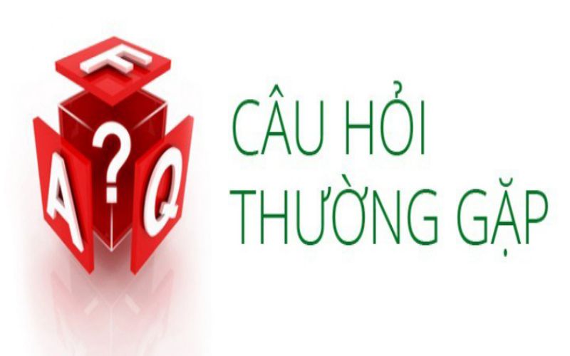 Tổng hợp các câu hỏi thường gặp Red88 